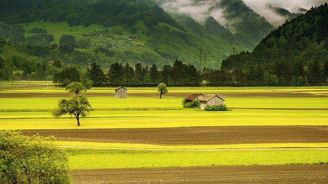 Dlaczego warto posiadać jak najlepszy herbicyd kukurydziany?